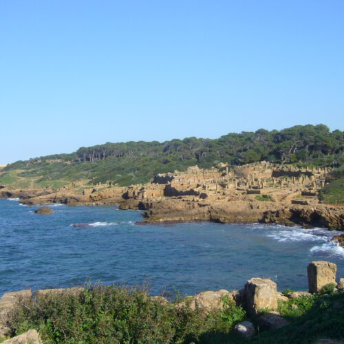 10. Tipaza