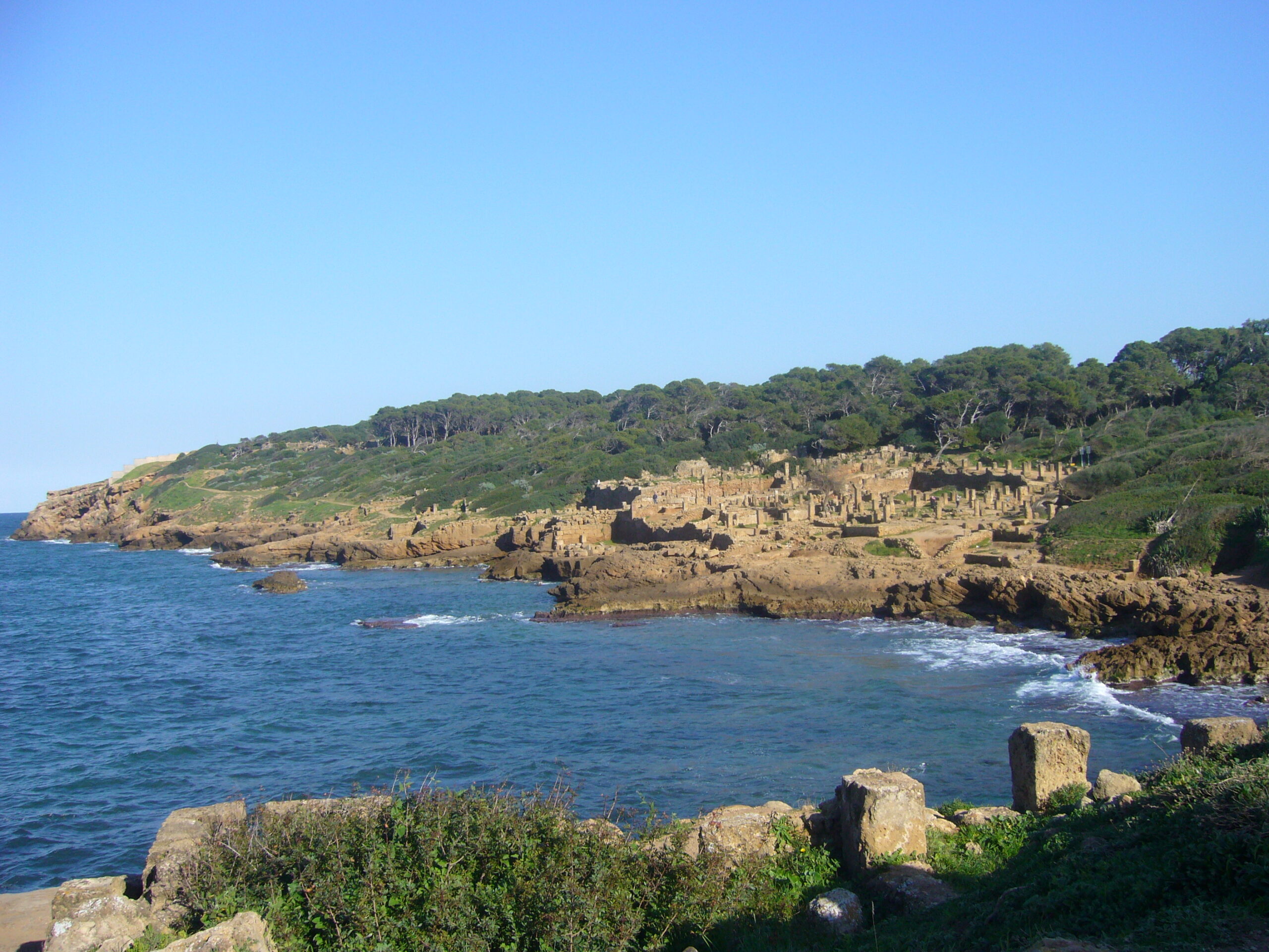 10. Tipaza