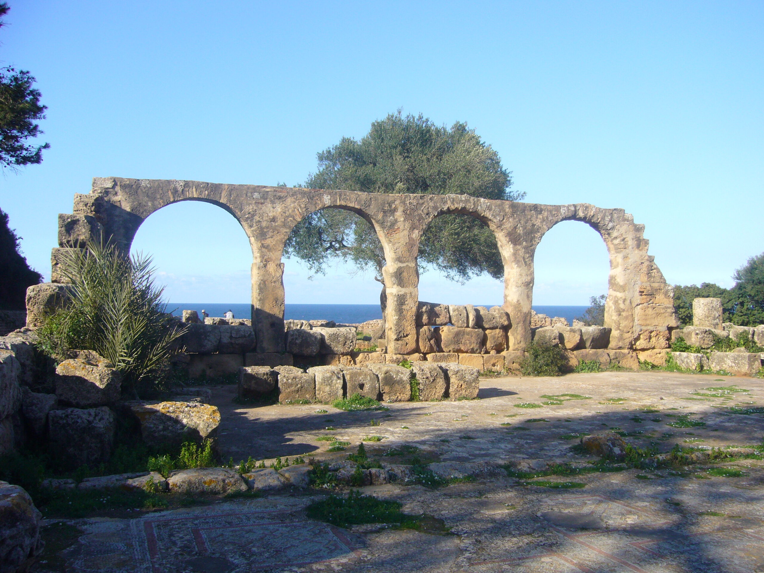 11. Tipaza